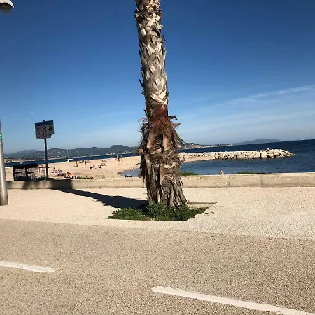 Les Anges Du Vieux-port 1 *